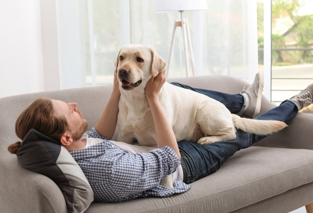 Conoce los beneficios de vivir con un perro