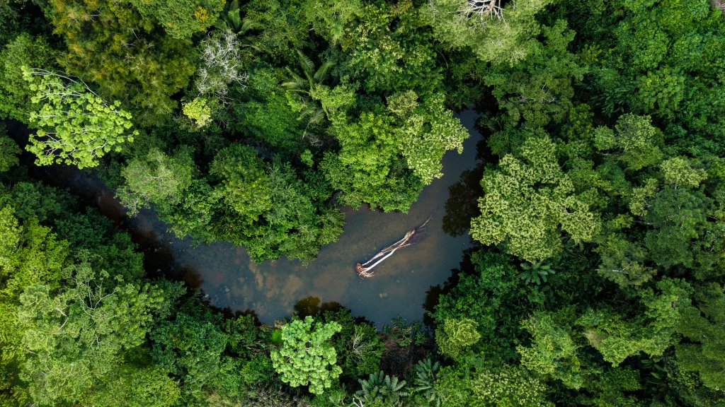 Deconstrucción de la cadena de suministro de zapatillas protege al Amazonas